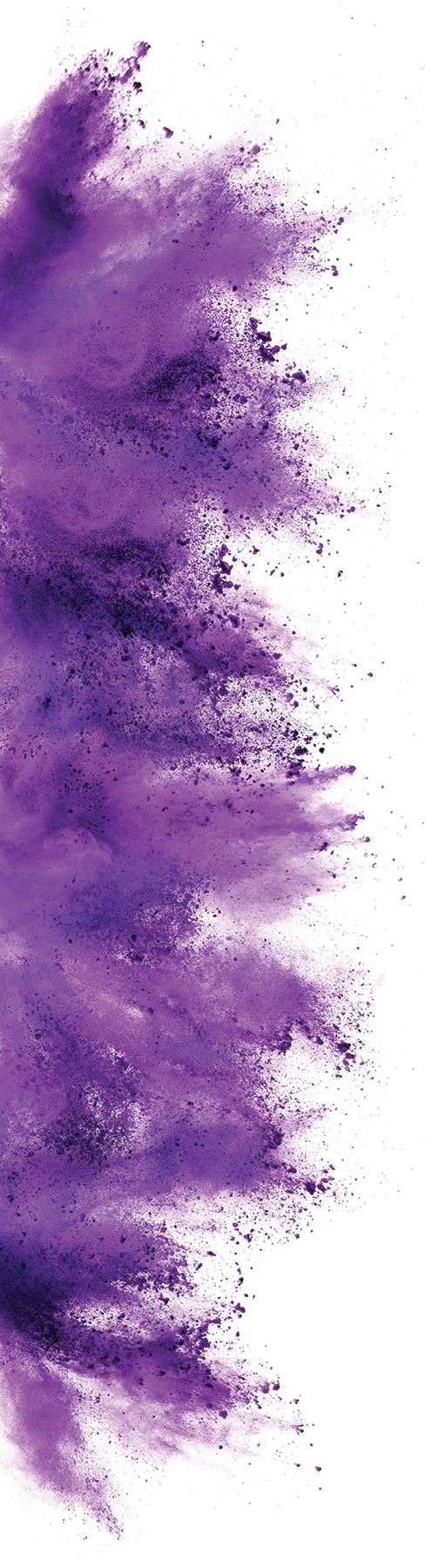 purple-color-burst-web-rotated-2_276