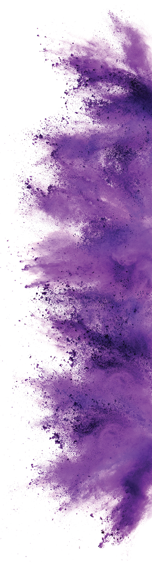purple-color-burst-web-rotated_127